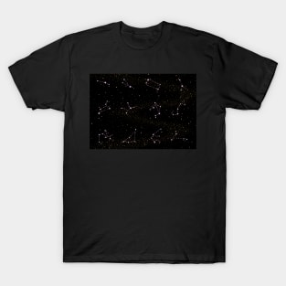 Zodiac Horoscope Star Signs Night Sky T-Shirt